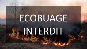 Interdiction des écobuages jusqu'au 30 avril 2020 - Préfecture des Hautes-Pyrénées | Vallées d'Aure & Louron - Pyrénées | Scoop.it