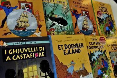Moulinsart perd le procès Tintin à La Haye | Koter Info - La Gazette de LLN-WSL-UCL | Scoop.it