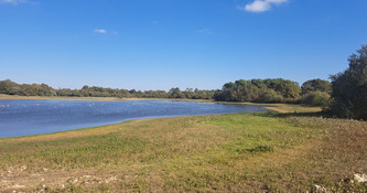 Cyanobact&eacute;ries&nbsp;: des poissons morts au lac de Bretagne-de-Marsan, l'acc&egrave;s interdit au public - ICI | Landes - Conseils municipaux & communautaires | Scoop.it