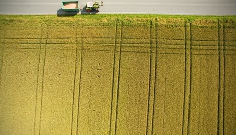 Data still suggest the world is getting better | Peer2Politics | Scoop.it