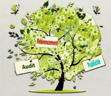 NetPublic » Maurice Largeron : blog didactique avec tutoriels sur le référencement, les statistiques et l’audit de site Web | TIC, TICE et IA mais... en français | Scoop.it