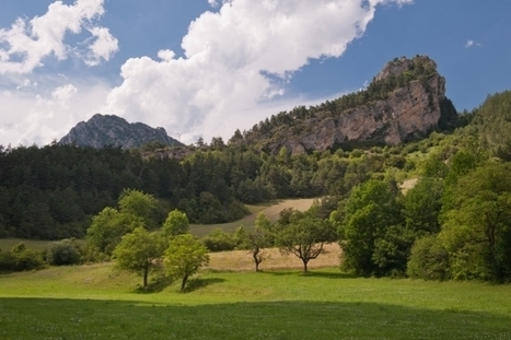 Usage des sols et changement climatique | SCIENCES DU VEGETAL | Scoop.it