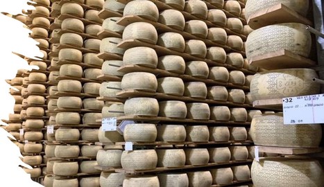 Quel est le fromage AOP le plus consommé dans le monde ? | Economie de l'Elevage | Scoop.it