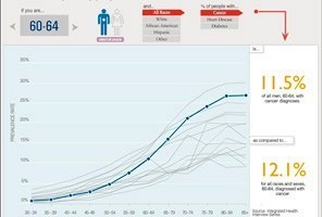 La population am&eacute;ricaine (interactif) | Journalisme graphique | Scoop.it