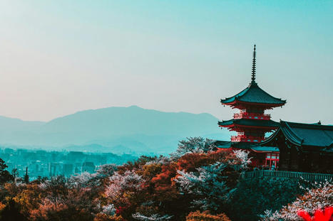 Japan Is Open For Some Tourism And Plans To Normalize Its Entry Bans Soon | Japanese Travellers | Scoop.it