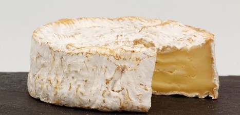 Le camembert de Normandie est en grande forme, c’est plus dur pour le livarot et le pont-l'évêque | Lait de Normandie... et d'ailleurs | Scoop.it