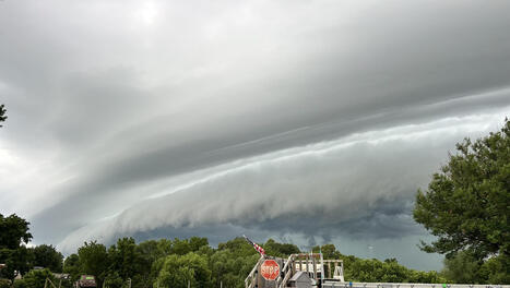 Man killed by falling tree in Des Moines, Iowa, during severe weather outbreak | Fox Weather | Operation Deimos | Scoop.it