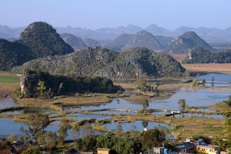 Yunnan Discovery | Frog Lying on a Stone Slab | Kunming-Yunnan | Scoop.it