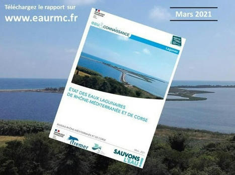 Lettre des lagunes - avril 2021 | Biodiversité | Scoop.it