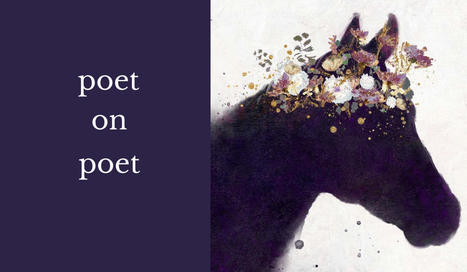 Doireann Ni Ghriofa The Irish L