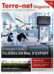 Marchés agricoles - Le colza en hausse dans le sillage du soja - Terre-net | Protéines végétales | Scoop.it