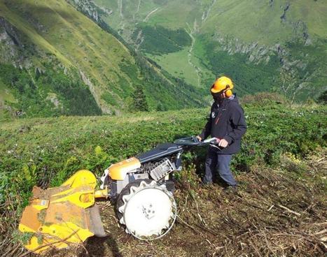 Dimanche, ouverture de la chasse aux gibiers en zone de montagne | Vallées d'Aure & Louron - Pyrénées | Scoop.it