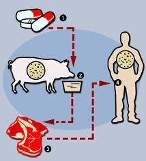 Antibiotic Use In Farm Animals Still Broadly Unaddressed Despite 'Fanfare' For FDA Move | YOUR FOOD, YOUR ENVIRONMENT, YOUR HEALTH: #Biotech #GMOs #Pesticides #Chemicals #FactoryFarms #CAFOs #BigFood | Scoop.it