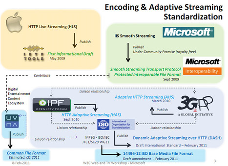 Five Things that HTML5 Video Currently will not do, but Silverlight or Flash will | Video Breakthroughs | Scoop.it