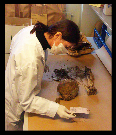 Une sc&egrave;ne de crime &agrave; Long&egrave;ves&hellip; | Espace Mend&egrave;s France : culture & m&eacute;diation scientifiques | Espace Mendes France | Scoop.it