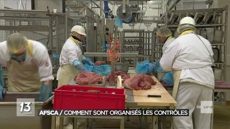 Belgique. Oui, les grosses entreprises sont prévenues des contrôles AFSCA... et il y en a moins à cause de la baisse de dotation | La Gazette des abattoirs | Scoop.it