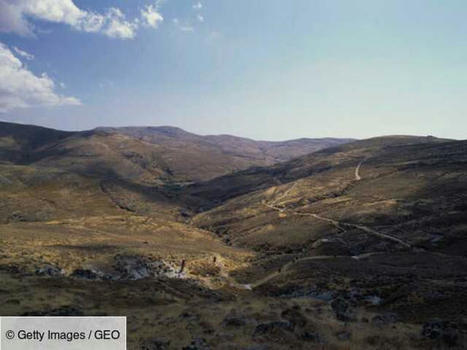 Un arbre pétrifié vieux d'environ 20 millions d'années découvert sur une île en Grèce | Histoires Naturelles | Scoop.it