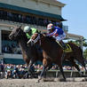 Racing Business
