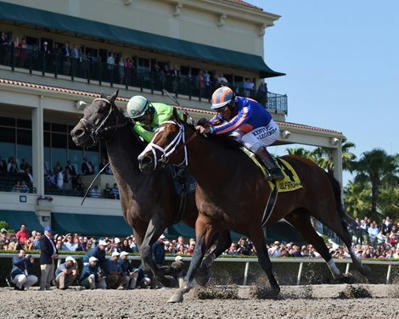 1/ST Racing, Jockeys' Guild Continue Partnership - BloodHorse | Racing Business | Scoop.it
