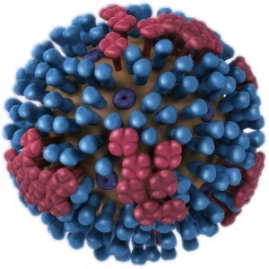 Making viruses the natural way | The Loom | Discover Magazine | Science News | Scoop.it