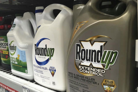 Bayer échoue devant la Cour suprême des Etats-Unis dans l’affaire du glyphosate | EntomoNews | Scoop.it