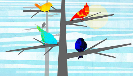Tweet, Screech, Hey! | Science News | Scoop.it