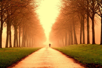 On Leadership, Success and the Introverted Leader? - Linked 2 Leadership | Connection | Scoop.it
