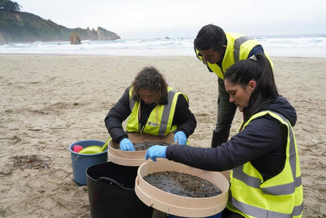Pollution aux micro-billes de plastique : l'inqui&eacute;tude monte sur les plages de la c&ocirc;te atlantique / le 11.01.2024 | Pollution accidentelle des eaux (+ d&eacute;chets plastiques) | Scoop.it