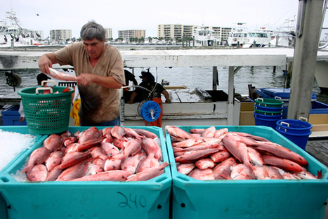 A Chance to Start Paying the Ocean Back | Coastal Restoration | Scoop.it