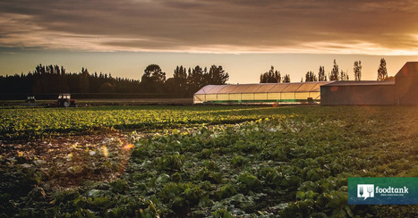 Dispatch from the U.N. Climate Change Conference: Monday, Nov. 14 &ndash; | Industry 411 - Waste Management | Scoop.it