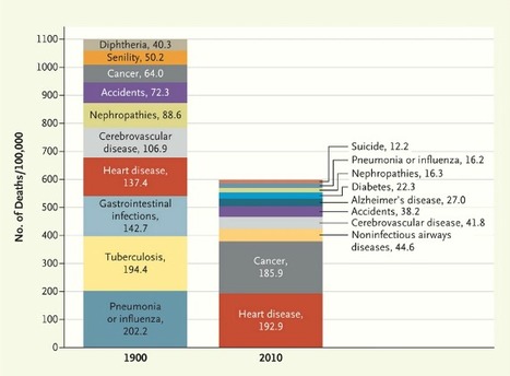 Changes in Mortality: 1900 to 2010 | History of Immunology | Scoop.it