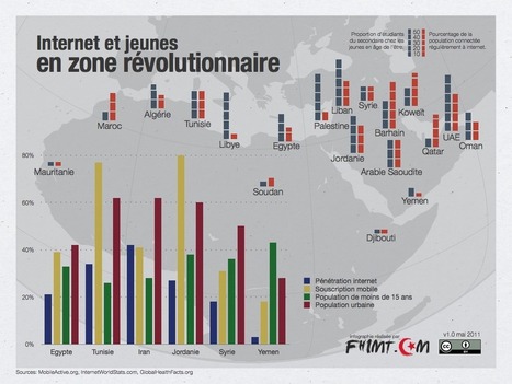 Impact de la surveillance d'internet sur le continent africain | Libertés Numériques | Scoop.it