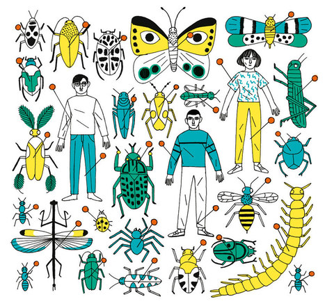 L'étude du minuscule nous révèle l'ampleur du désastre écologique | EntomoScience | Scoop.it