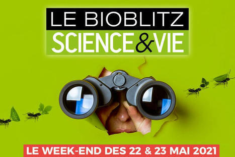 Participez au Bioblitz Science & Vie, un observatoire géant et éphémère de la biodiversité ! | Variétés entomologiques | Scoop.it