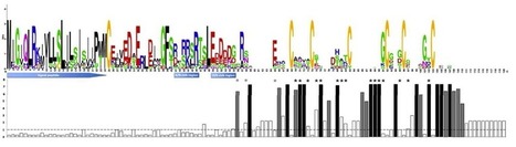 MPMI: A comprehensive analysis of genes encoding small secreted proteins identifies candidate effectors in Melampsora larici-populina (poplar leaf rust) | Plant Pathogenomics | Scoop.it