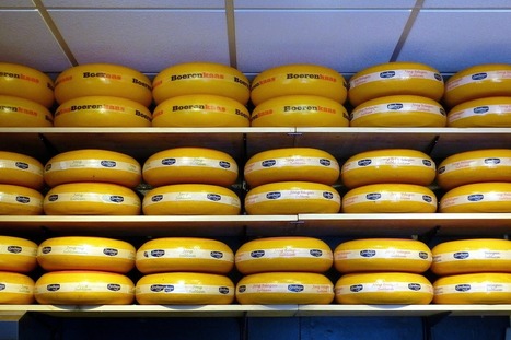Le CETA retardé par des tonnes de fromage | Lait de Normandie... et d'ailleurs | Scoop.it