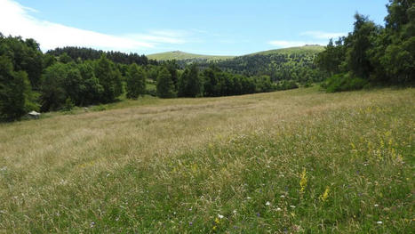 Les agriculteurs installés dans le Parc National des Cévennes invités à développer les prairies naturelles | Biodiversité | Scoop.it