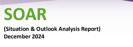 Tourism Ireland: Situation & Outlook Analysis Report (SOAR): December 2024 | Tourism Performance | Scoop.it