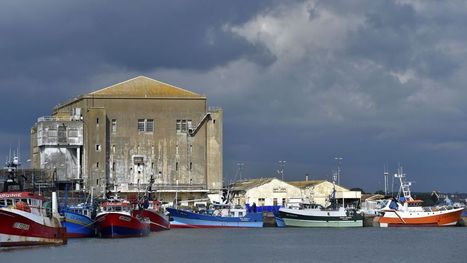 Brexit : les pêcheurs bretons craignent un “cataclysme” | HALIEUTIQUE MER ET LITTORAL | Scoop.it