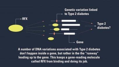 Diabetes In Your DNA? Scientists Zero In On The...