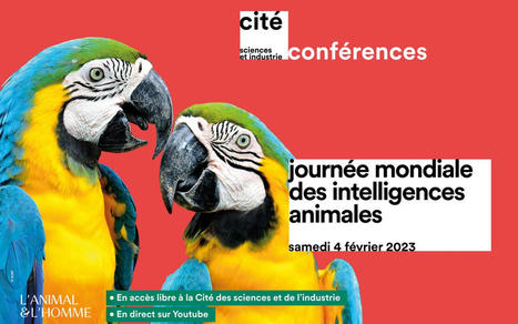 Journée mondiale des intelligences animales à la Cité - Ville de Paris | Variétés entomologiques | Scoop.it