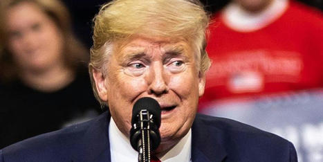 'Music to Putin's ears': Experts fact check Trump's rally lies and missteps - Raw Story | Backstabber Watch | Scoop.it