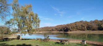 « Le but, c’est de faire une synthèse de tout le patrimoine landais » : Cédric Collard veut partager sa grande passion | Landes - Conseils municipaux & communautaires | Scoop.it