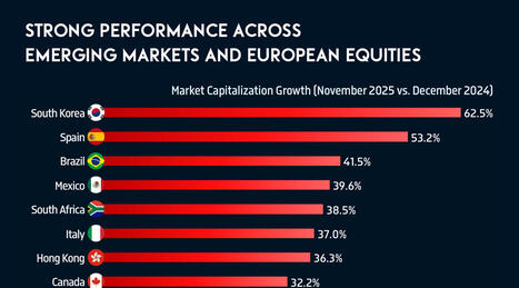 📈 Strong Performance Across Emerging Markets and European Equities | Financial Markets Report  - Transforming Money Into Wealth | Scoop.it
