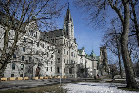 La loi&nbsp;101 au c&eacute;gep&nbsp;? Une fausse bonne id&eacute;e&nbsp;! | Veille m&eacute;dia | Scoop.it