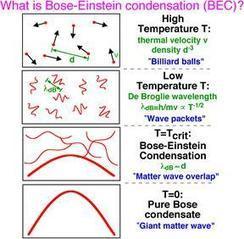Sr Bose, Sr Einstein, un placer estar juntos | Ciencia-Física | Scoop.it
