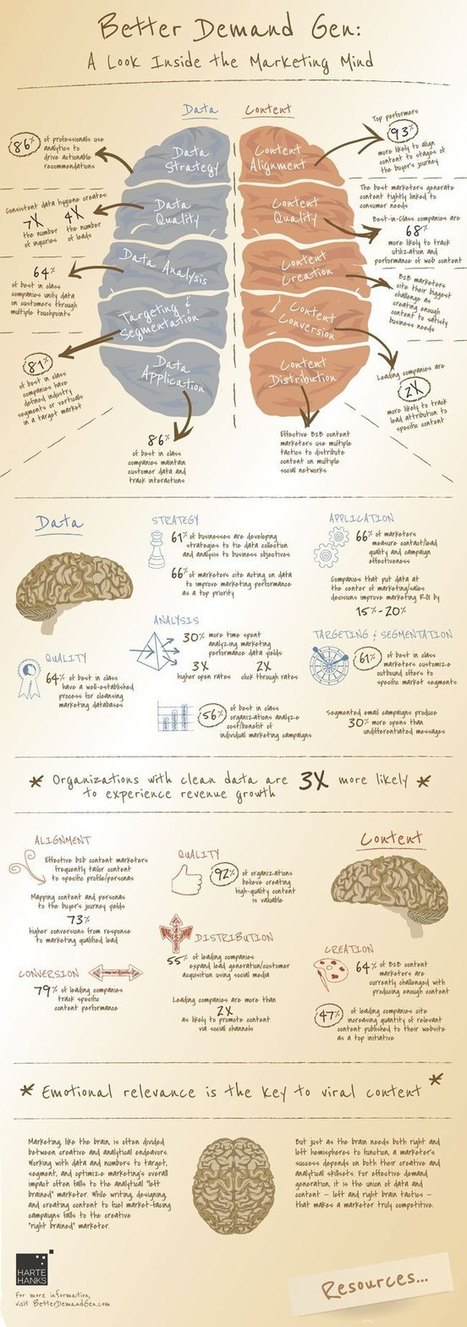 Anatomía de un cerebro de marketing efectivo #infografia #infographic #marketing | Seo, Social Media Marketing | Scoop.it