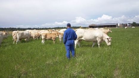 Les Agri-Youtubeurs L’agriculture expliquée par les agriculteurs : halte aux idées reçues | Elevage et société | Scoop.it