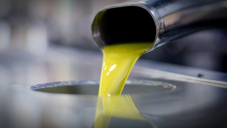 Oleacein: The Promising Phenolic Compound in Extra Virgin Olive Oil | OLIVE NEWS | Scoop.it