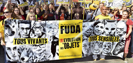 Les animaux doivent-ils avoir de nouveaux droits ? | EntomoScience | Scoop.it